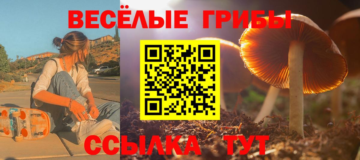 Псилоцибиновые грибы мицелий Семилуки